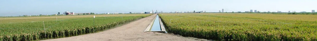 Presentación Copsemar