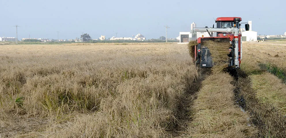 Septiembre / Octubre