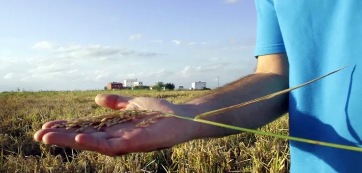 CDTI IDI-20170652 CDTI IDI-20170652