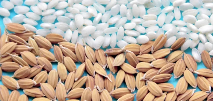 Nuevas variedades COPSEMAR Nuevas variedades COPSEMAR